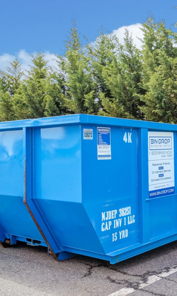 dumpster rental size